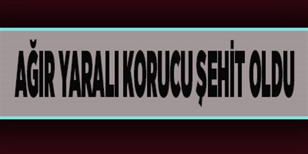 AGIR YARALI KORUCU SEHIT OLDU