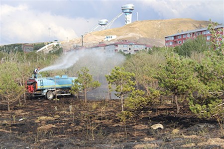 ITFAIYE’NIN ERKEN MÜDAHALESI AGAÇLARI YANMAKTAN KURTARDI