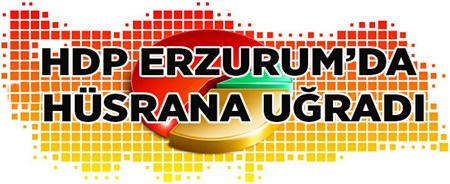 ERZURUM SEÇIM ANALIZI..