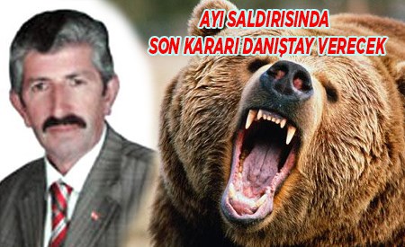 AYI SALDIRISINDA SON KARARI DANISTAY VERECEK