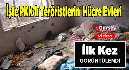 Iste PKK’li teröristlerin hücre evleri