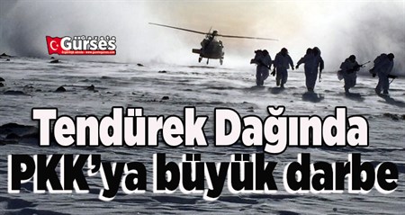 Tendürek Daginda PKK’ya büyük darbe