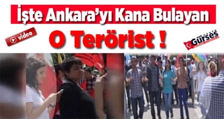 Iste Ankara