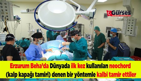 EBEAH KALP CERRAHLARI LITVANYALI ÜNLÜ KALP CERRAHLARI ILE KALPTE TAMIRAT YAPTI