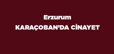 KARAÇOBAN’DA CINAYET