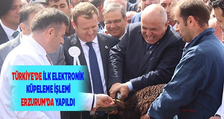 TÜRKIYE’DE ILK ELEKTRONIK KÜPELEME ISLEMI ERZURUM’DA YAPILDI