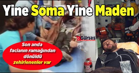 Soma