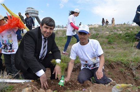 GHSIM ILE ENGELLERI ASARAK AGAÇ DIKTILER