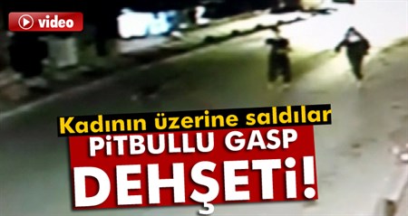 Pitbullu gasp çetesi kamerada