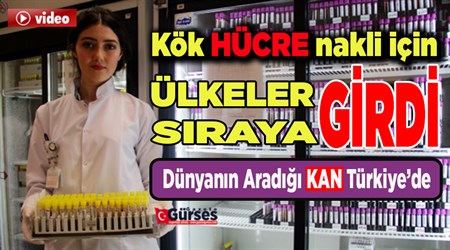 Kök hücre nakli için ülkeler Türkiye’de siraya girdi