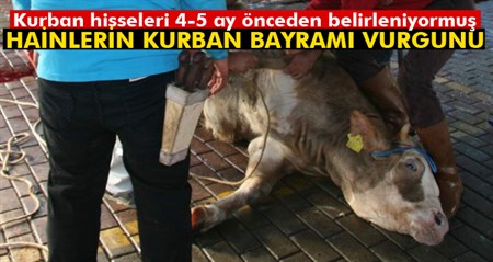 Hainlerin Kurban Bayrami vurgunu