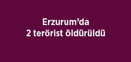 Erzurum’da 2 terörist öldürüldü