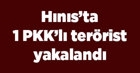 Hinis’ta 1 PKK’li terörist yakalandi