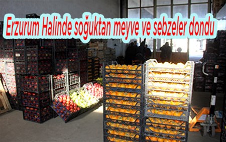 Erzurum Halinde soguktan meyve ve sebzeler dondu