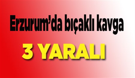 Erzurum’da biçakli kavga: 3 yarali