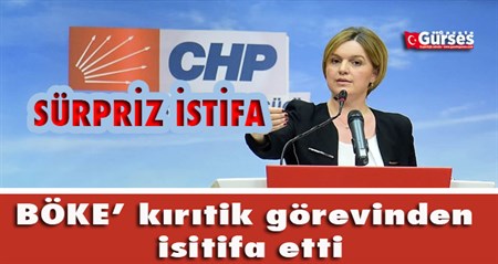 Selin Sayek Böke CHP