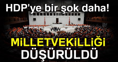 HDP Diyarbakir milletvekili Nursel Aydogan