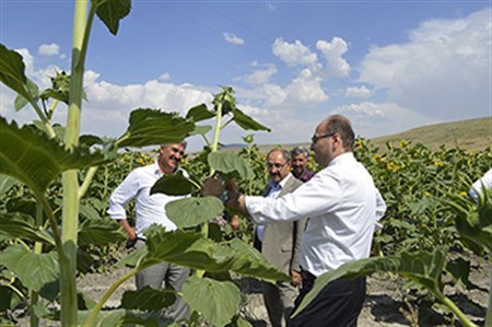 DAP Idare Baskani Demir: “Üreten çiftçinin yanindayiz”