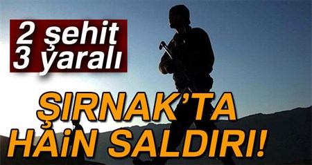 Sirnak’ta teröristlerden hain saldiri: 2 sehit, 3 yarali