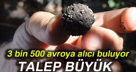 100 ila 3 bin 500 avro arasinda fiyata alici buluyor