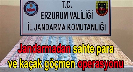 Jandarmadan sahte para ve kaçak göçmen operasyonu