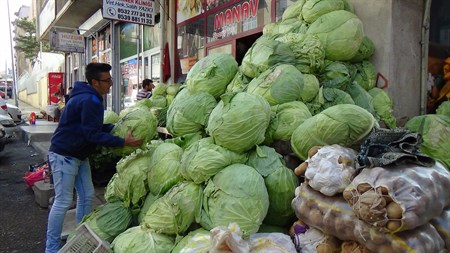 Kislik patates ve lahanalar tezgahta yerini aldi