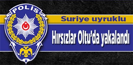 Suriye uyruklu hirsizlar Oltu’da yakalandi