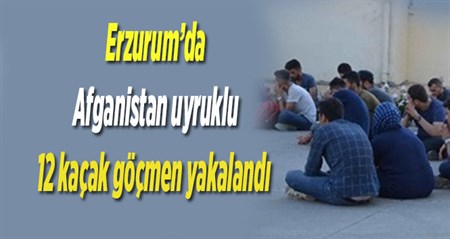 Erzurum’da Afganistan uyruklu 12 kaçak göçmen yakalandi