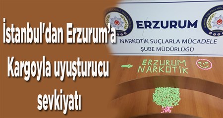 Kargoyla uyusturucu sevkiyatindan 1 kisi tutuklandi