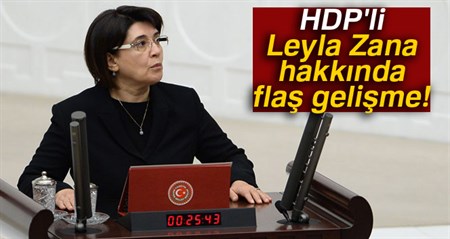 Komisyon, Leyla Zana