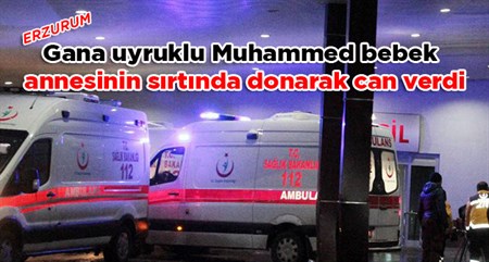 Gana uyruklu Muhammed bebek, annesinin sirtinda donarak can verdi