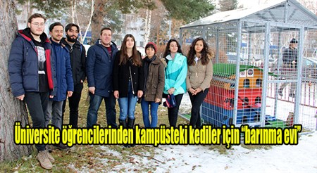 Üniversite ögrencilerinden kampüsteki kediler için “barinma evi”