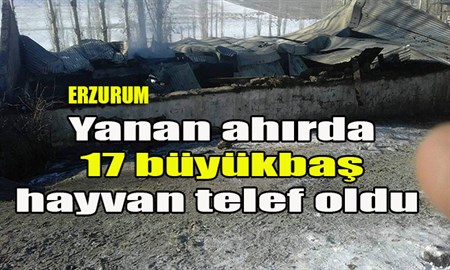 Yanan ahirda 17 büyükbas hayvan telef oldu