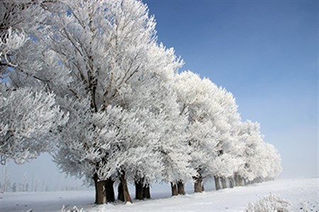 Erzurum