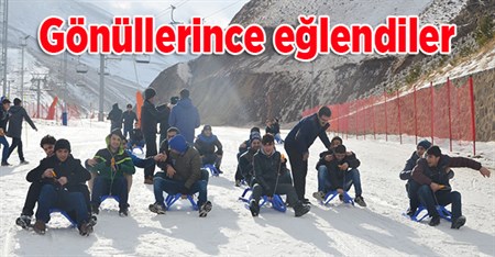 Gönüllerince eglendiler