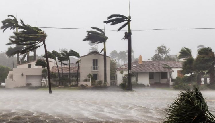 Irma Kasirgasi Amerika’da hayati felç etti