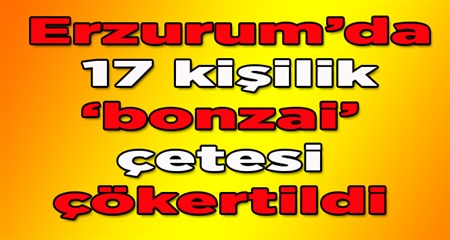 Erzurum’da 17 kisilik ‘bonzai’ çetesi çökertildi