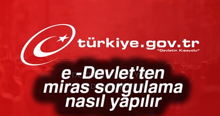 E-Devlet