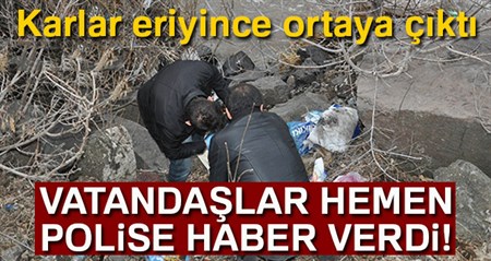 Havalarin sicak gitmesiyle birlikte kar eriyince ortaya çikti