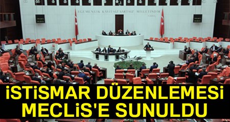 Istismar düzenlemesi Meclis