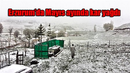 Erzurum’da Mayis ayinda kar yagdi