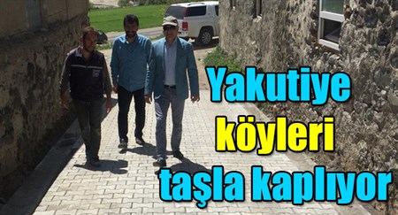 Yakutiye, köyleri tasla kapliyor