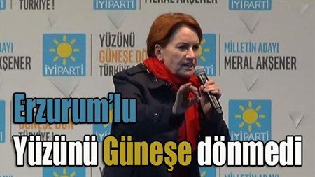 Meral Aksener