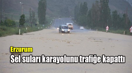 Sel sulari karayolunu trafige kapatti