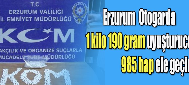 Otogarda 1 kilo 190 gram uyusturucu ile 985 hap ele geçirildi