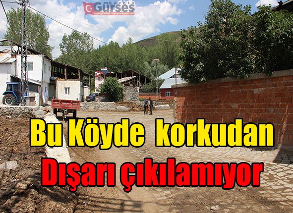 Erzurum’da ayni köyde ikinci ayi saldirisi