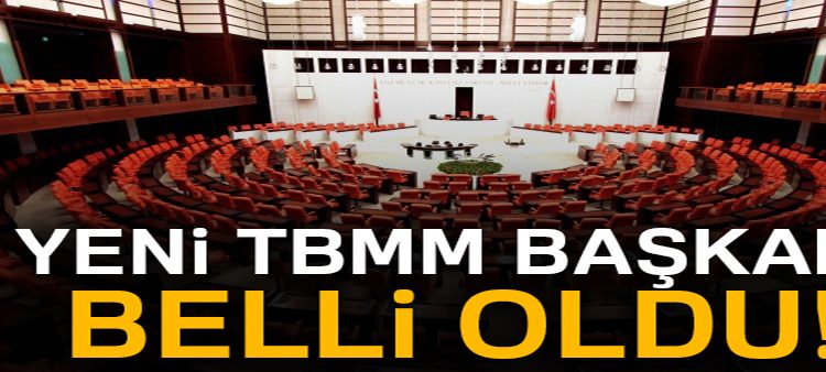 28. TBMM Baskani Binali Yildirim oldu