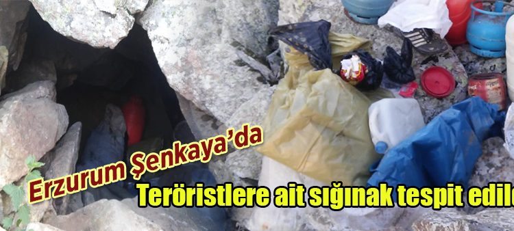 Erzurum’da teröristlere ait siginak tespit edildi