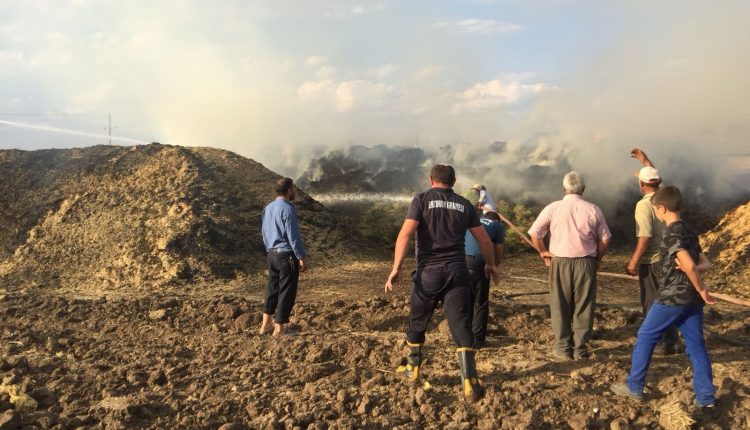 Erzurum’da korkutan ot yangini