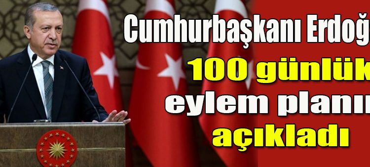 Cumhurbaskani Erdogan 100 günlük eylem planini açikladi